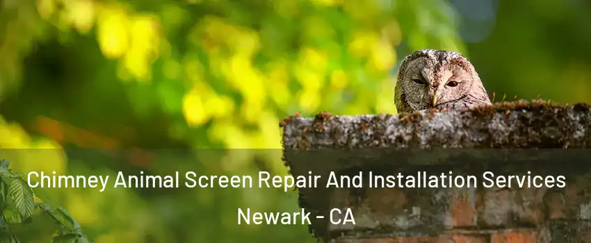  Chimney Animal Screen Repair And Installation Services Newark - CA