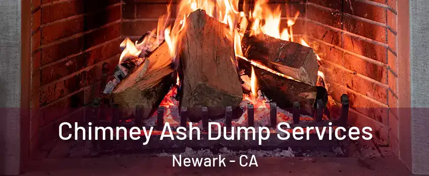  Chimney Ash Dump Services Newark - CA