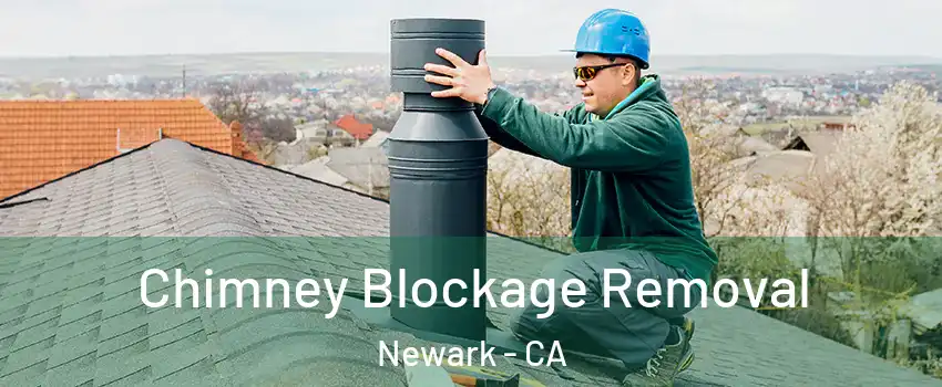  Chimney Blockage Removal Newark - CA