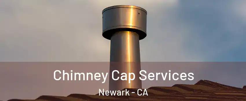  Chimney Cap Services Newark - CA