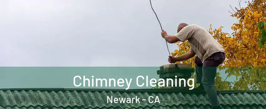  Chimney Cleaning Newark - CA