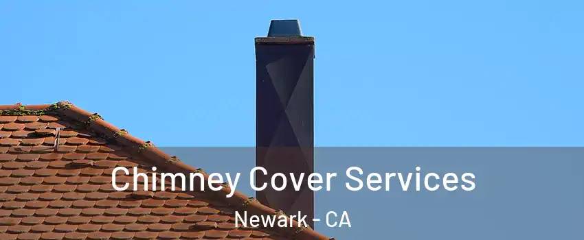  Chimney Cover Services Newark - CA