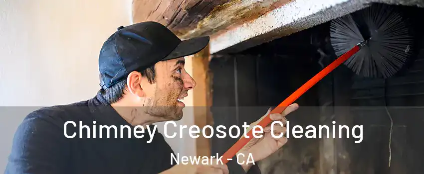  Chimney Creosote Cleaning Newark - CA