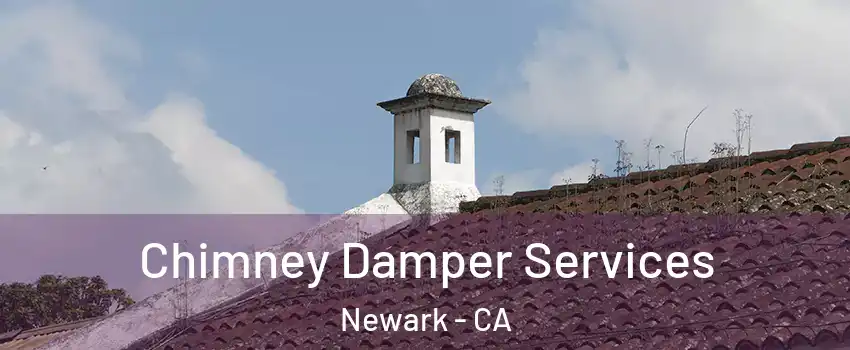  Chimney Damper Services Newark - CA