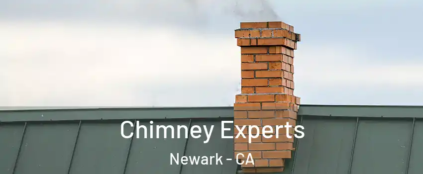 Chimney Experts Newark - CA