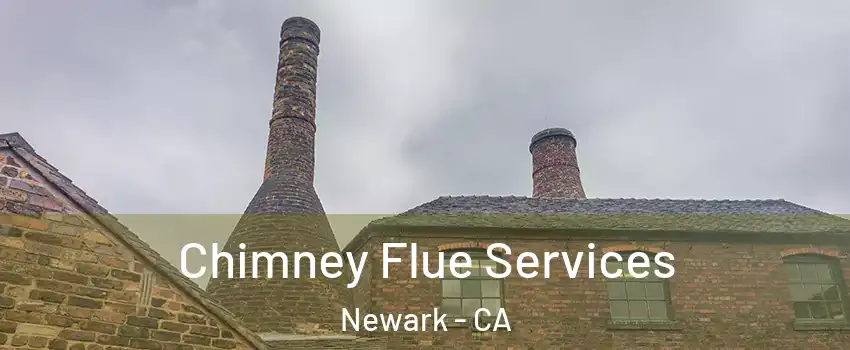  Chimney Flue Services Newark - CA