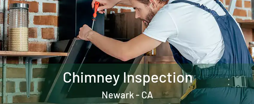  Chimney Inspection Newark - CA