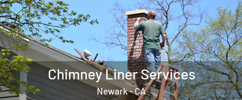  Chimney Liner Services Newark - CA
