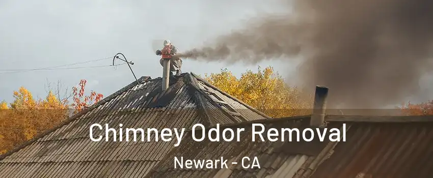  Chimney Odor Removal Newark - CA