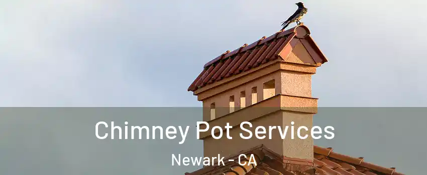  Chimney Pot Services Newark - CA
