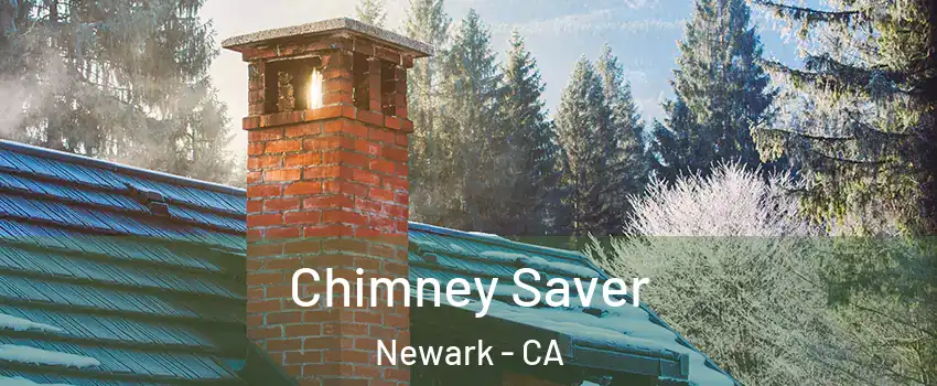  Chimney Saver Newark - CA