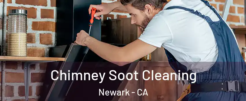  Chimney Soot Cleaning Newark - CA