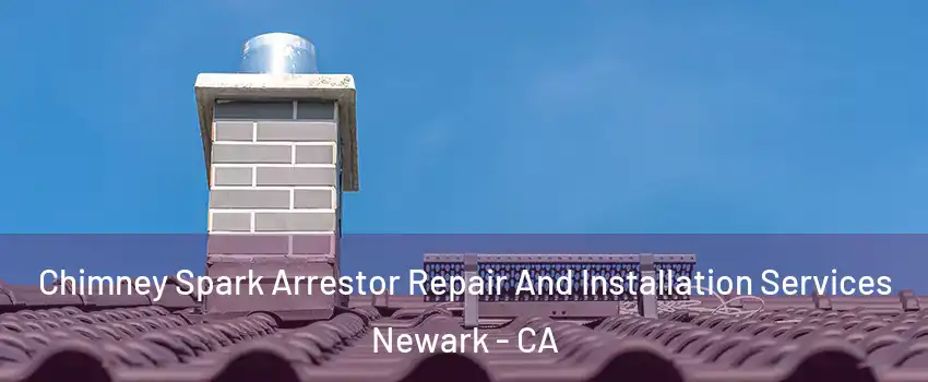  Chimney Spark Arrestor Repair And Installation Services Newark - CA