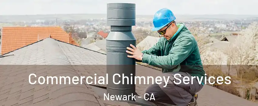  Commercial Chimney Services Newark - CA