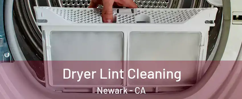  Dryer Lint Cleaning Newark - CA