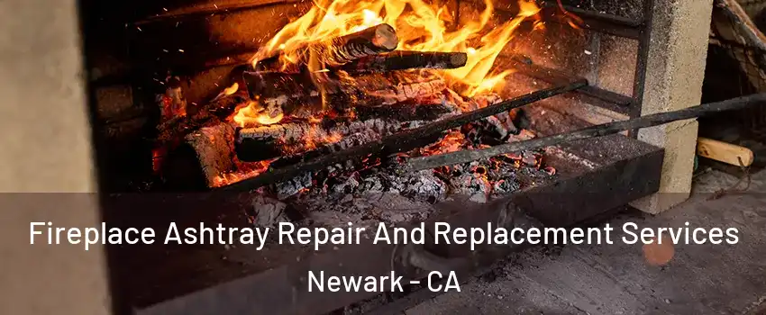  Fireplace Ashtray Repair And Replacement Services Newark - CA