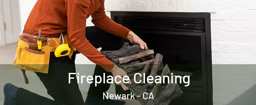  Fireplace Cleaning Newark - CA
