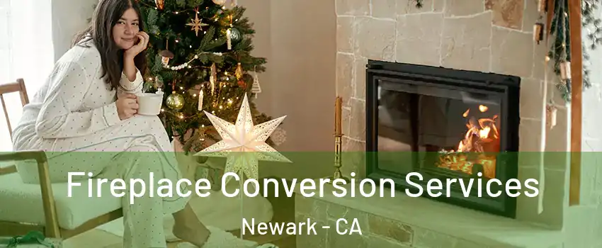  Fireplace Conversion Services Newark - CA