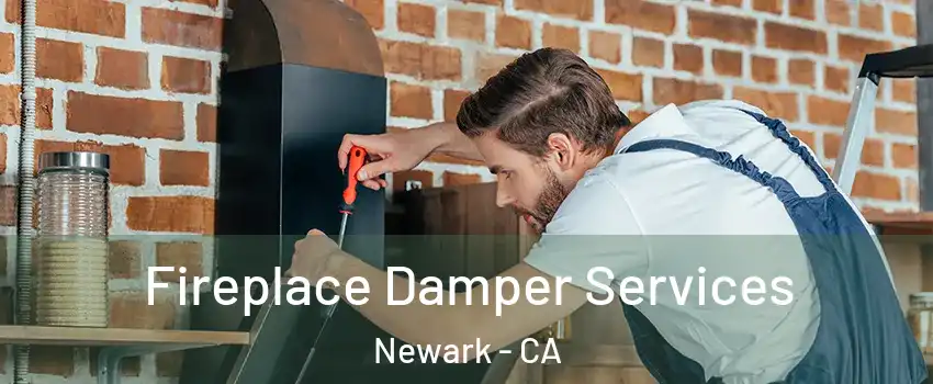 Fireplace Damper Services Newark - CA