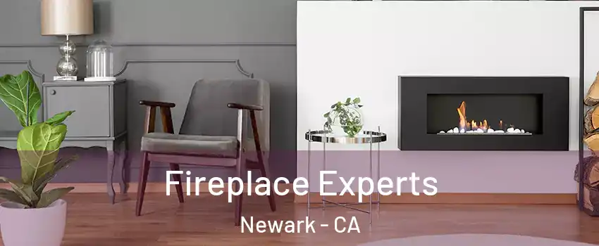  Fireplace Experts Newark - CA