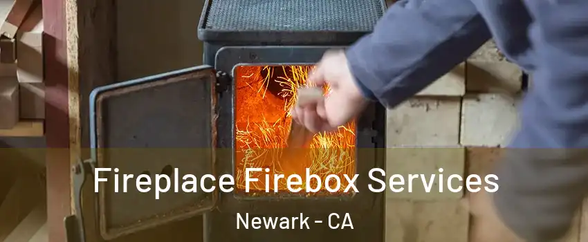  Fireplace Firebox Services Newark - CA