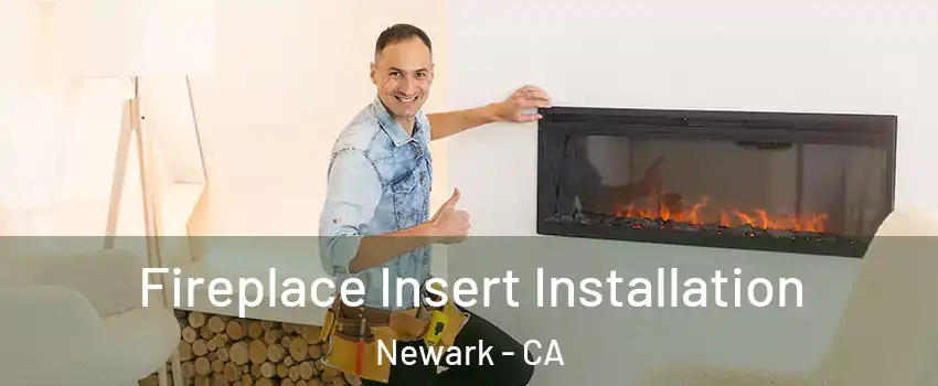  Fireplace Insert Installation Newark - CA