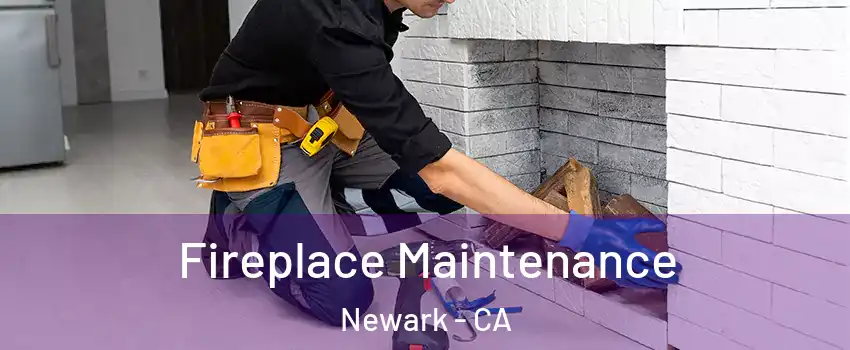  Fireplace Maintenance Newark - CA