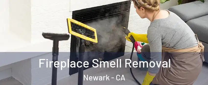  Fireplace Smell Removal Newark - CA