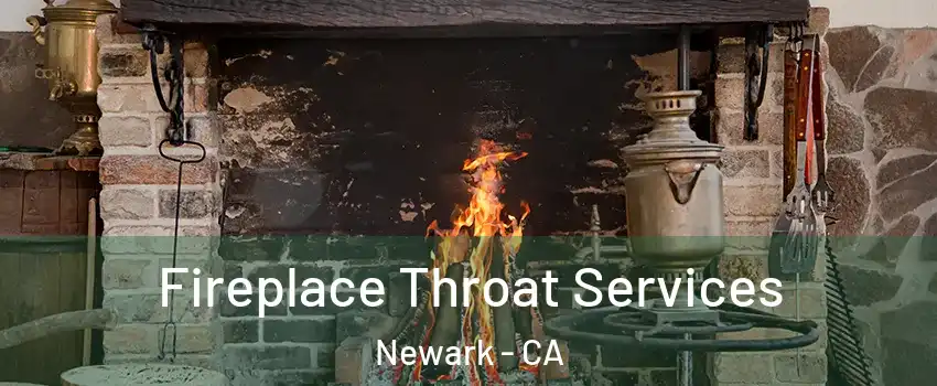  Fireplace Throat Services Newark - CA