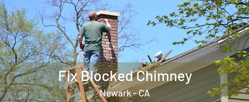  Fix Blocked Chimney Newark - CA