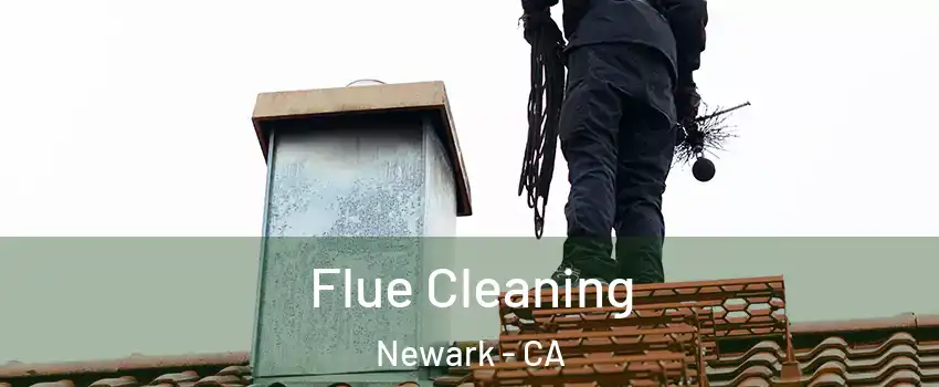  Flue Cleaning Newark - CA