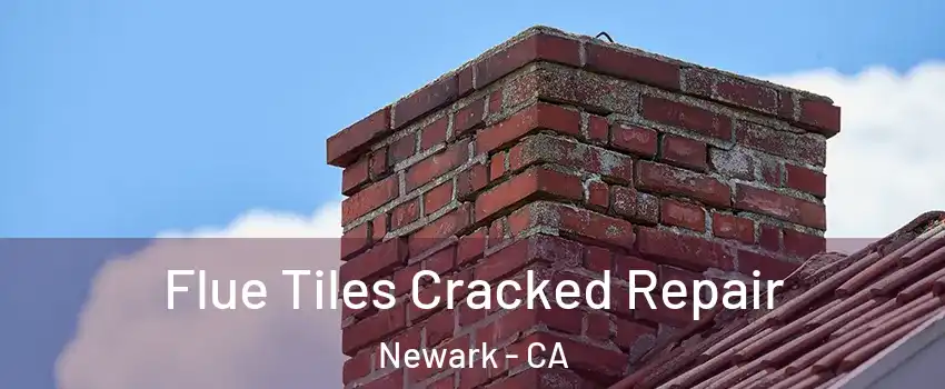  Flue Tiles Cracked Repair Newark - CA