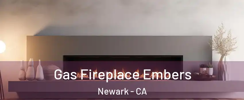  Gas Fireplace Embers Newark - CA