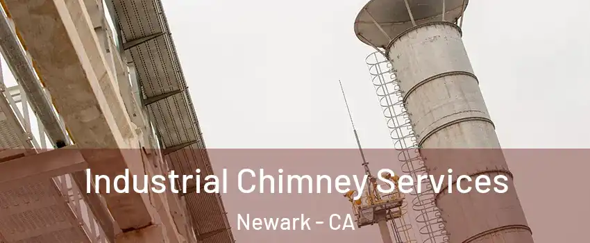  Industrial Chimney Services Newark - CA
