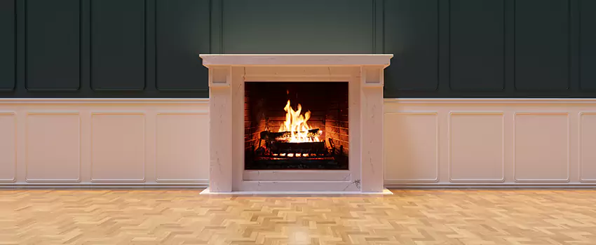 Napoleon Electric Fireplaces Inspection Service in Newark, California