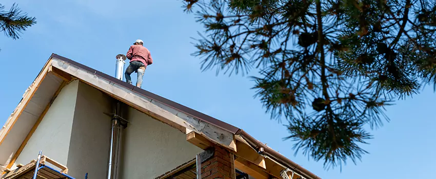 Birds Removal Contractors from Chimney in Newark, CA