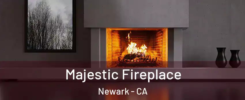  Majestic Fireplace Newark - CA
