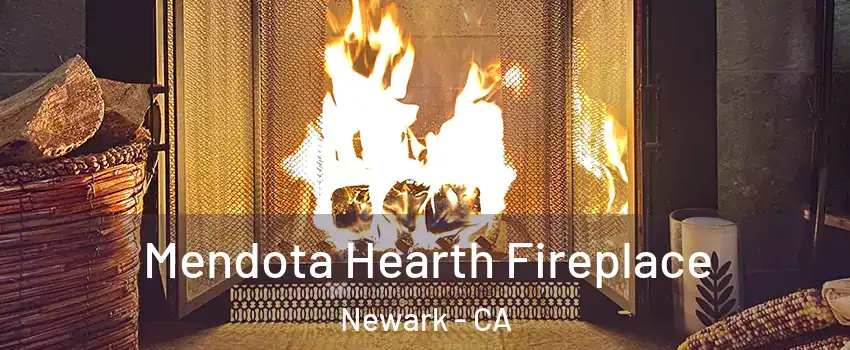 Mendota Hearth Fireplace Newark - CA