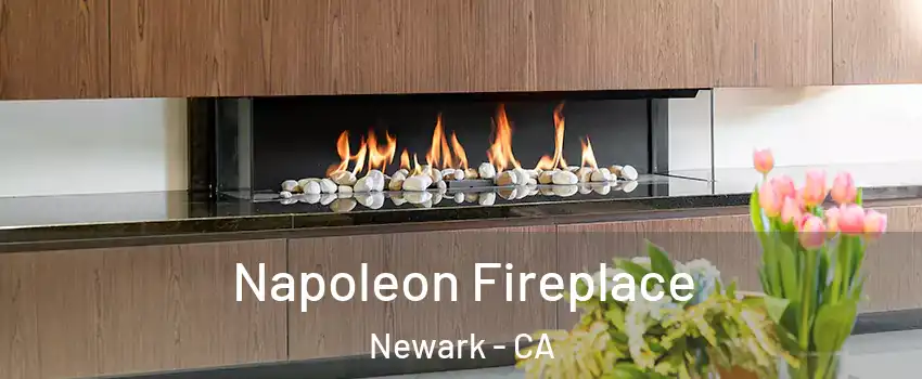  Napoleon Fireplace Newark - CA