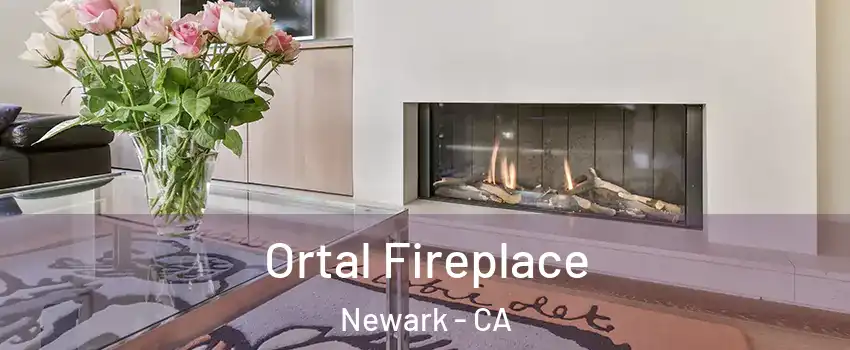 Ortal Fireplace Newark - CA