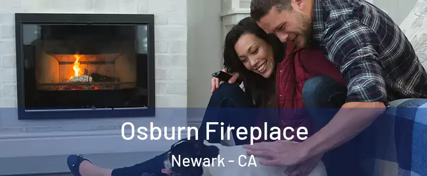  Osburn Fireplace Newark - CA