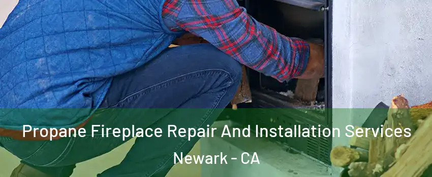  Propane Fireplace Repair And Installation Services Newark - CA