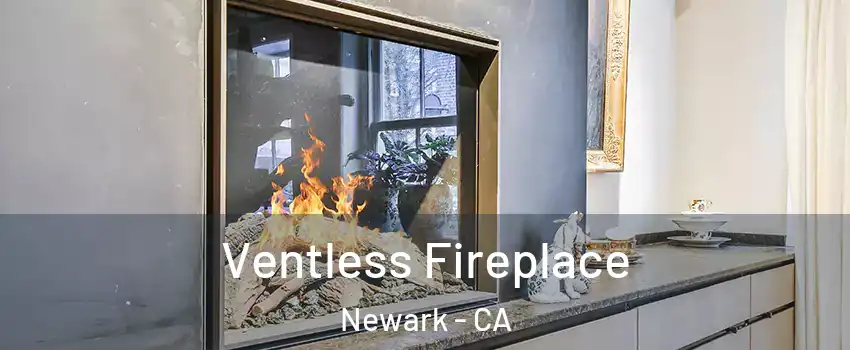  Ventless Fireplace Newark - CA
